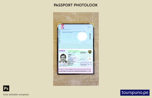 listo para imprimir la plantilla de presentación fotográfica del pasaporte de  9